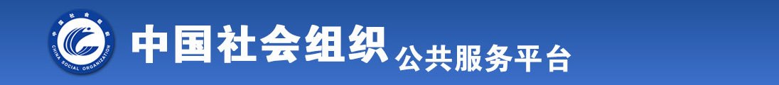 艹烂你全国社会组织信息查询